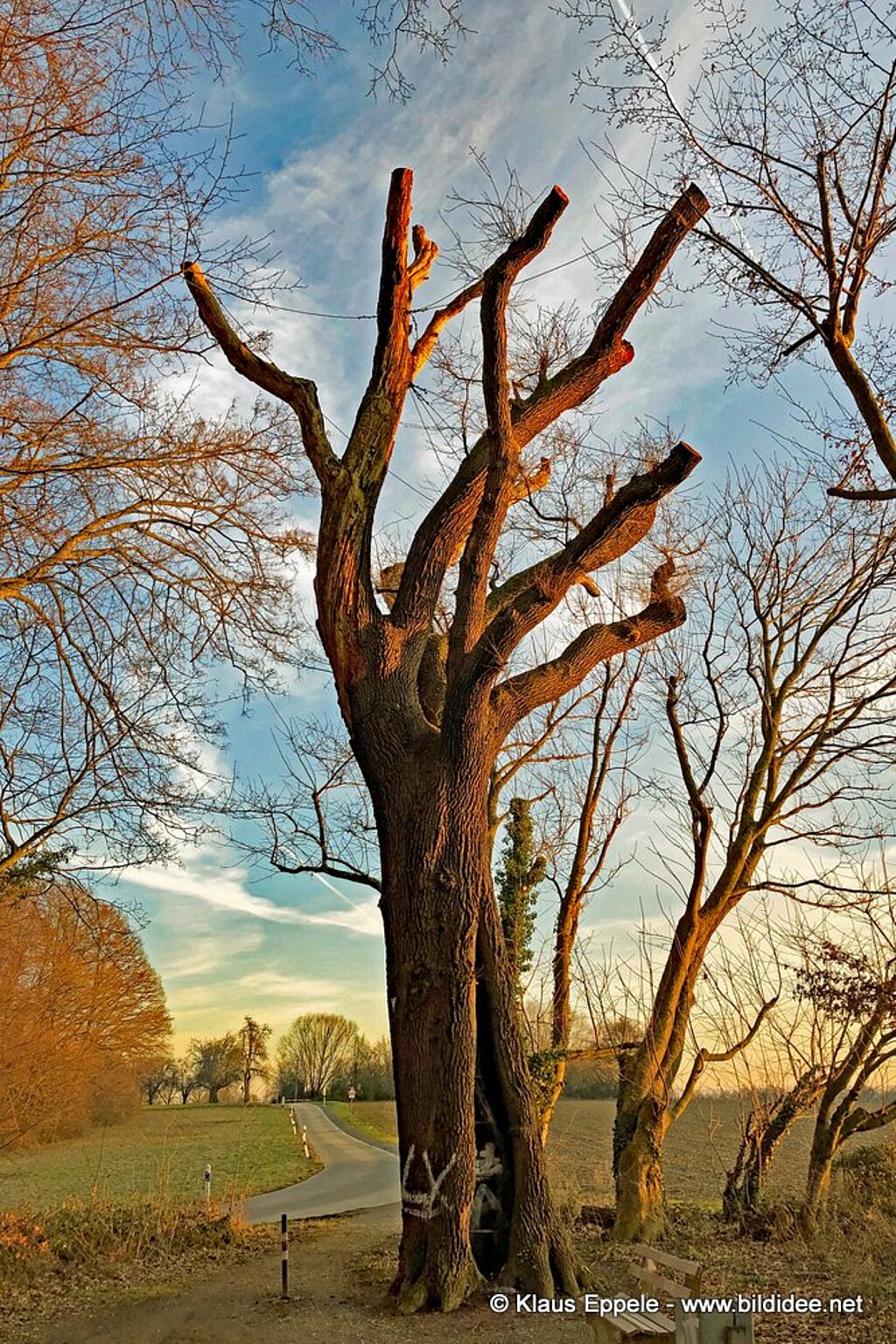 Unterwegs1 (5)