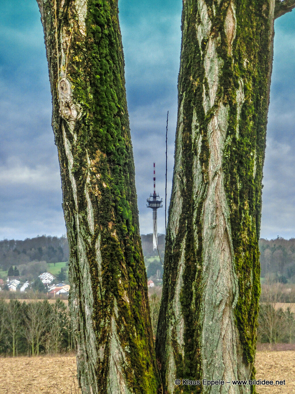 Laufend_Unterwegs (45)