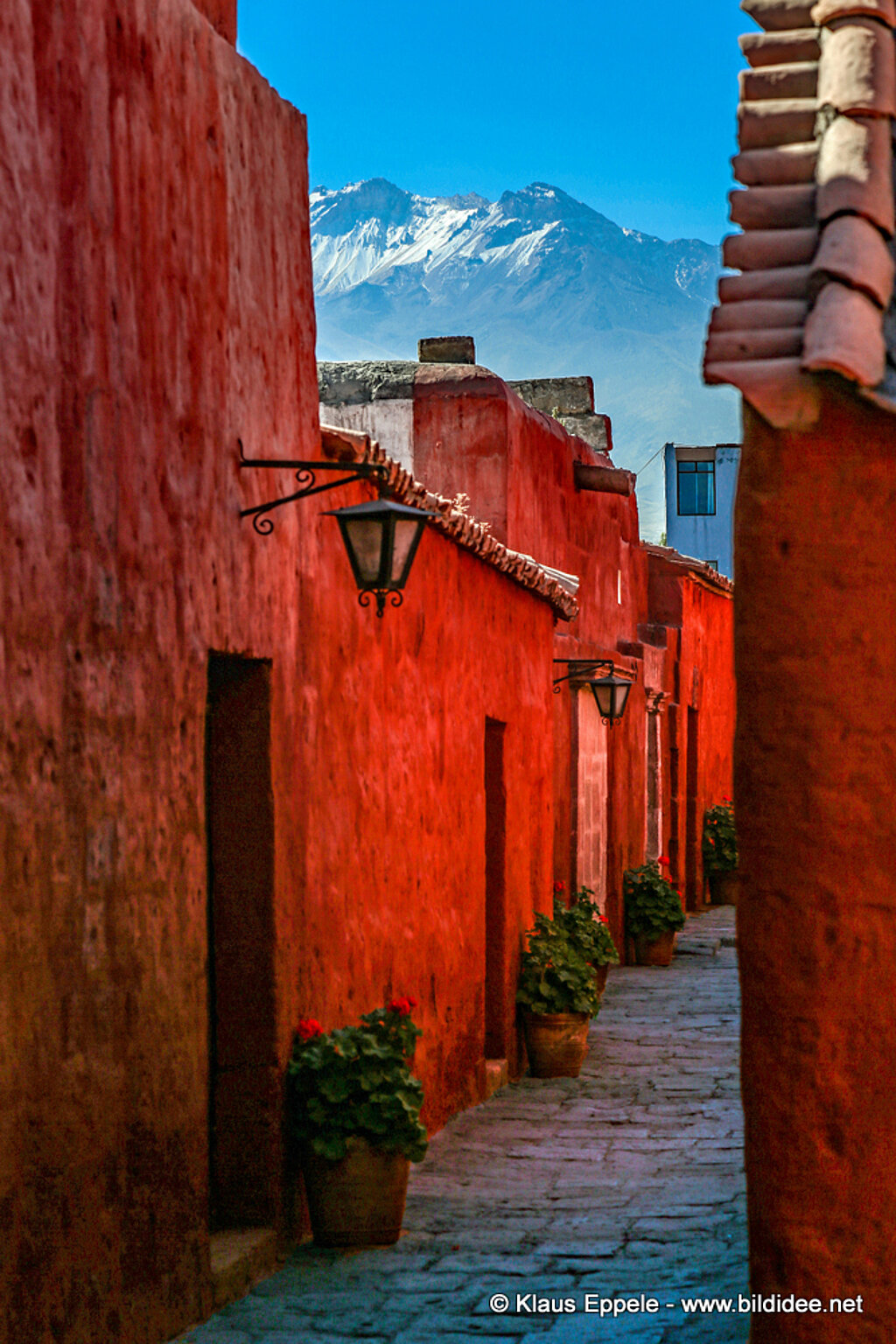 Peru (480)-X