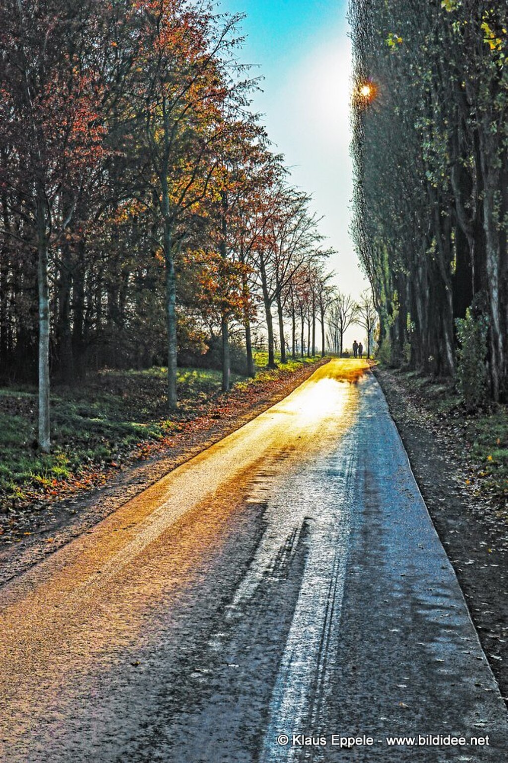 Unterwegs1 (3)