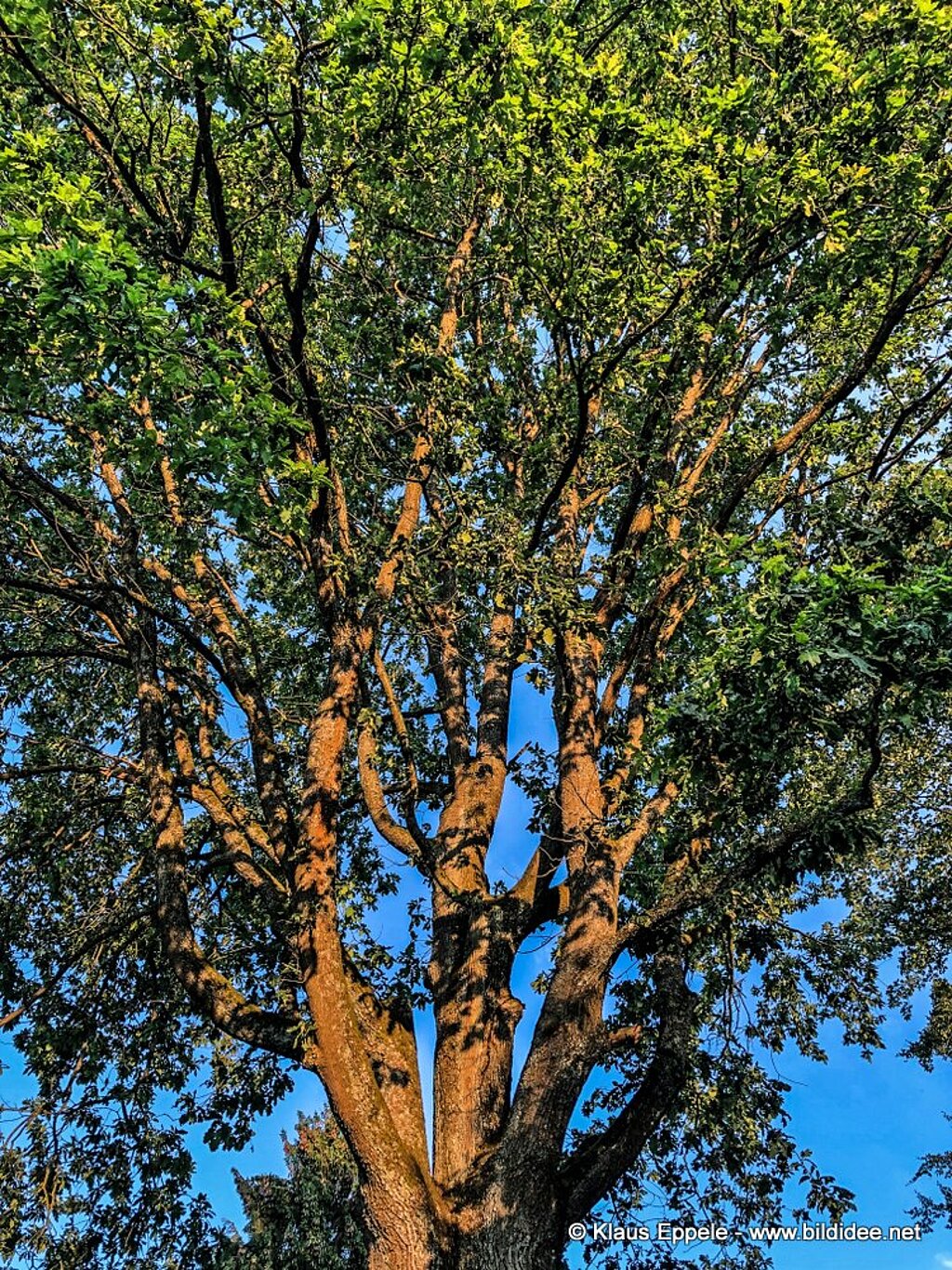 Unterwegs (39)