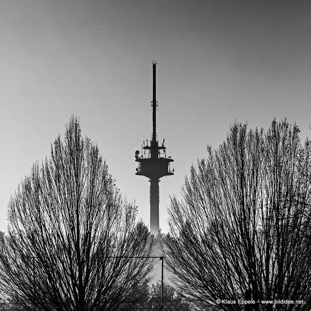 Laufend_Unterwegs (60)