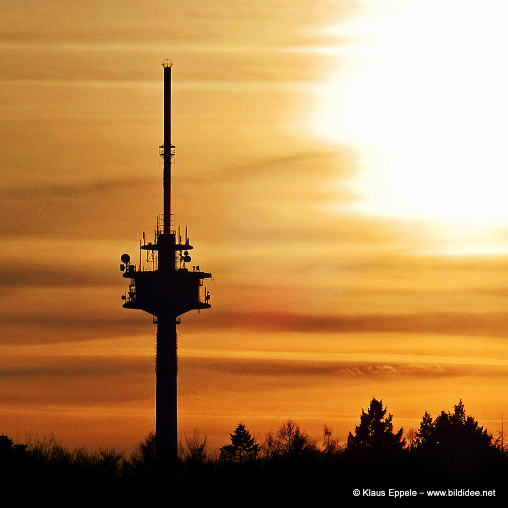 Laufend_Unterwegs (39)