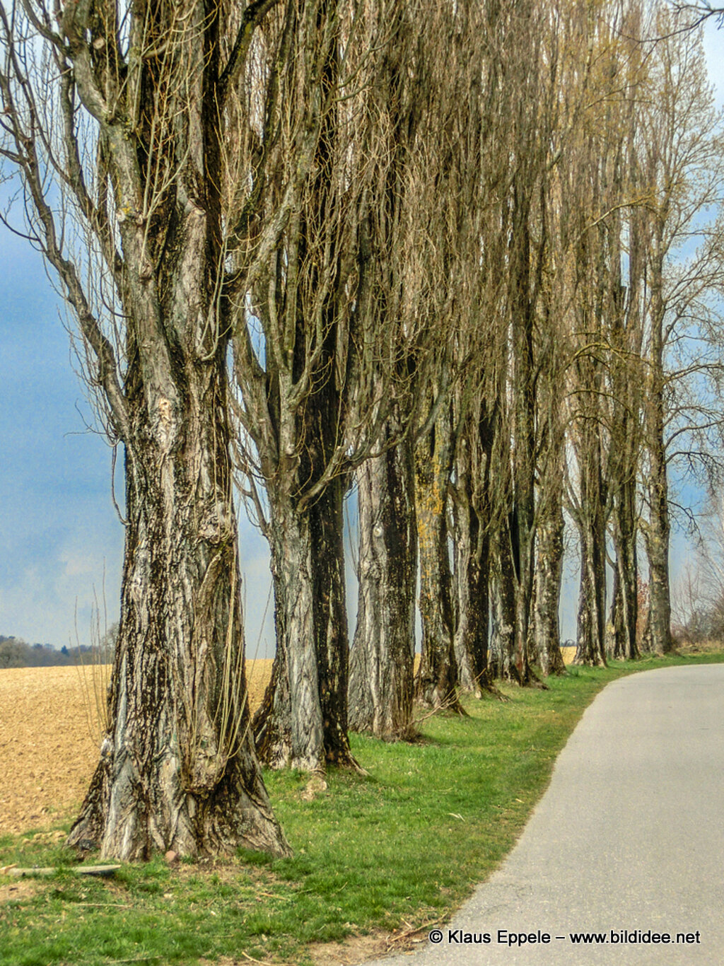 Laufend_Unterwegs (41)