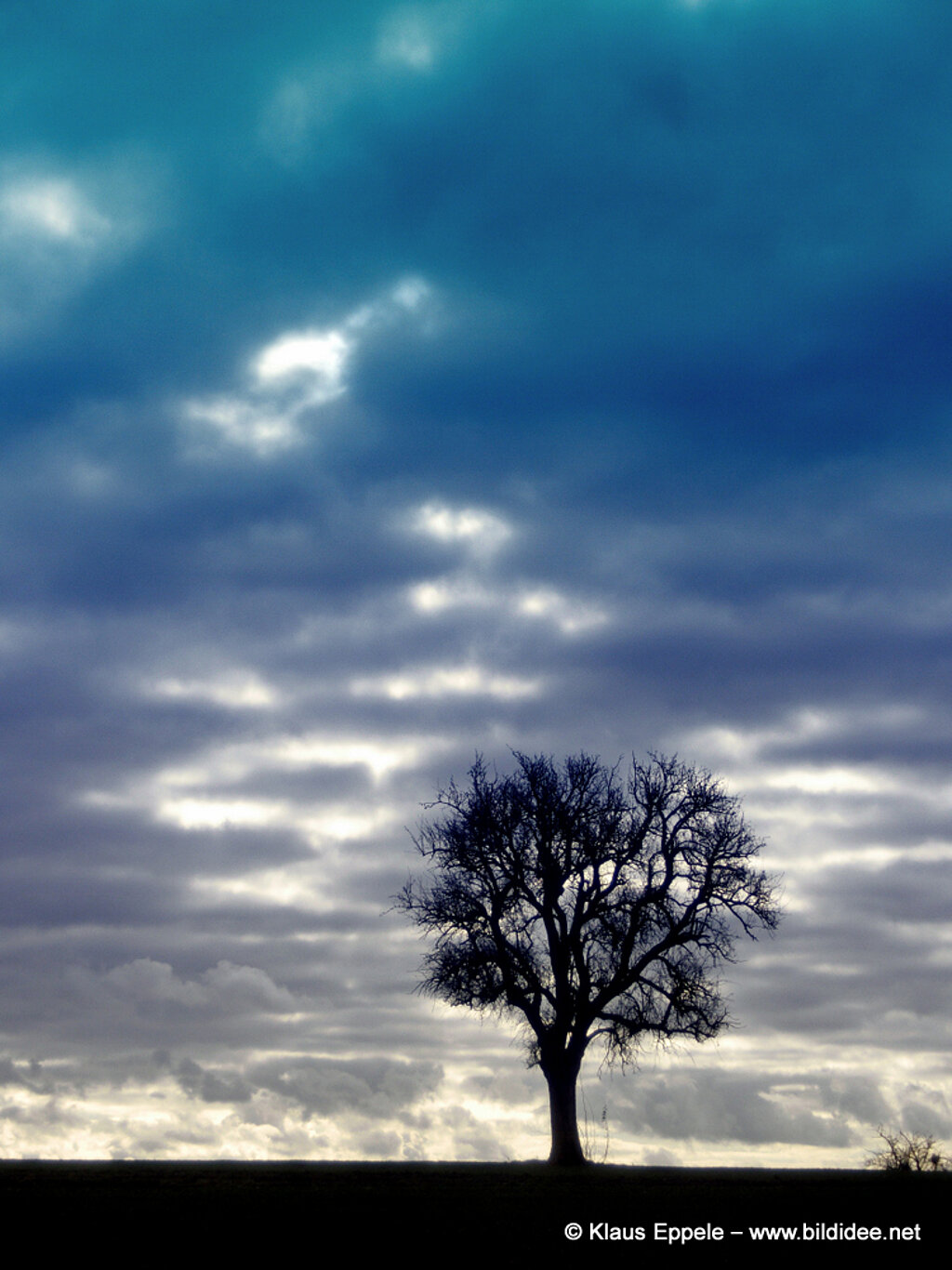Laufend_Unterwegs (43)