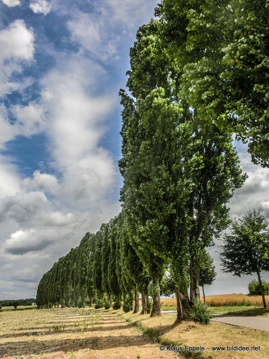 Laufend_Unterwegs (21)