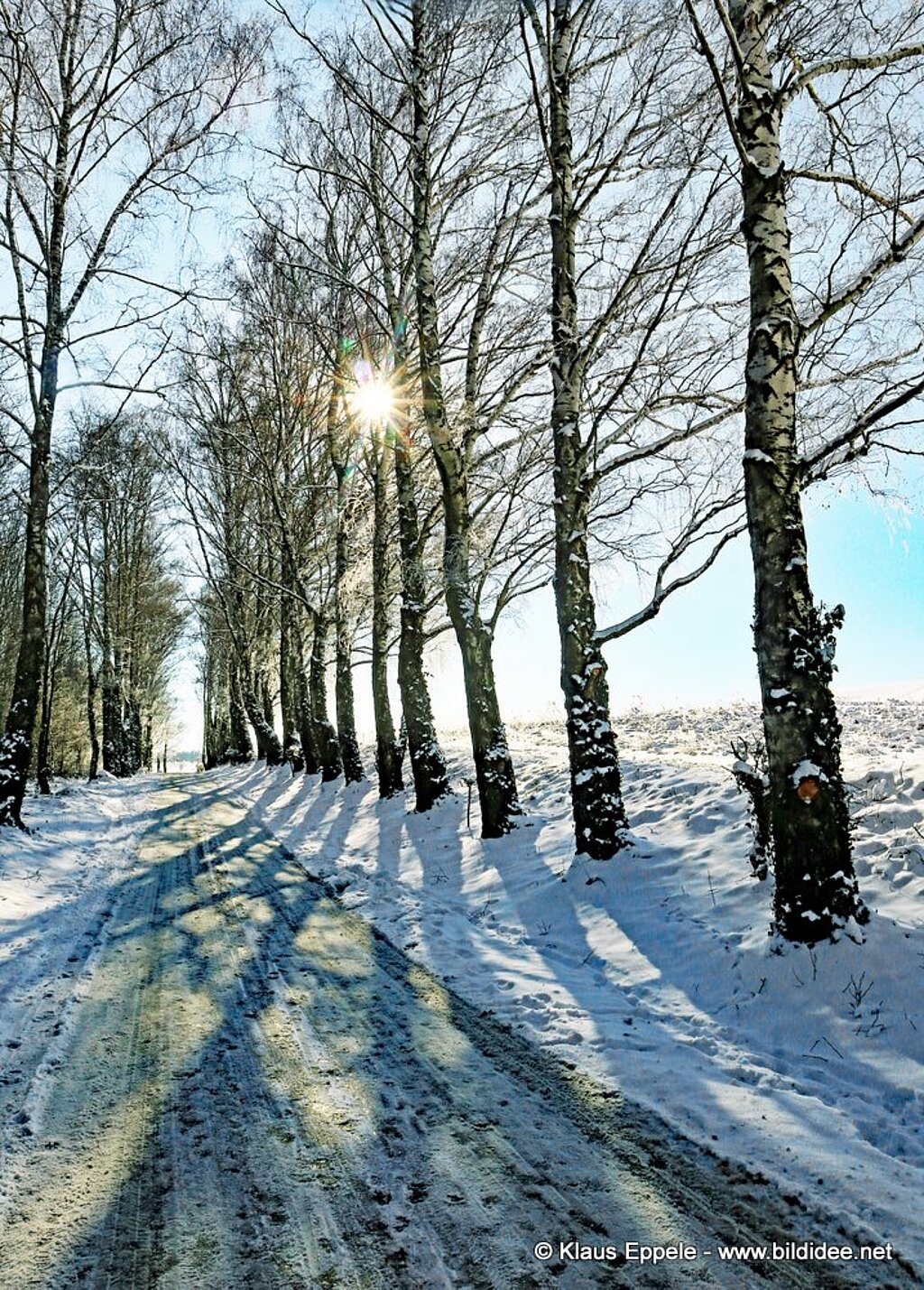 Unterwegs (84)