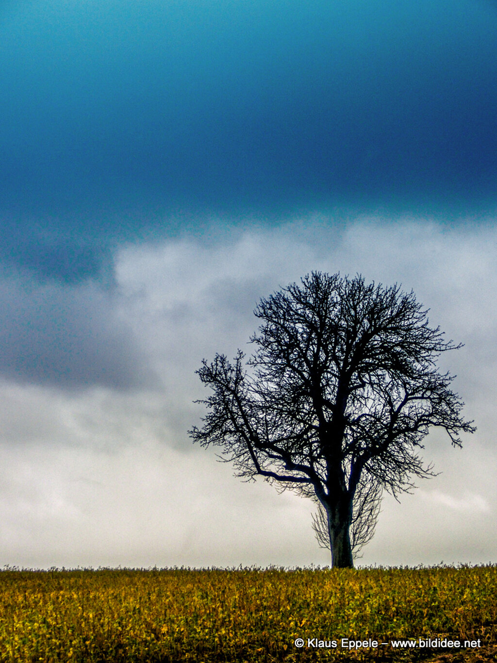 Laufend_Unterwegs (40)